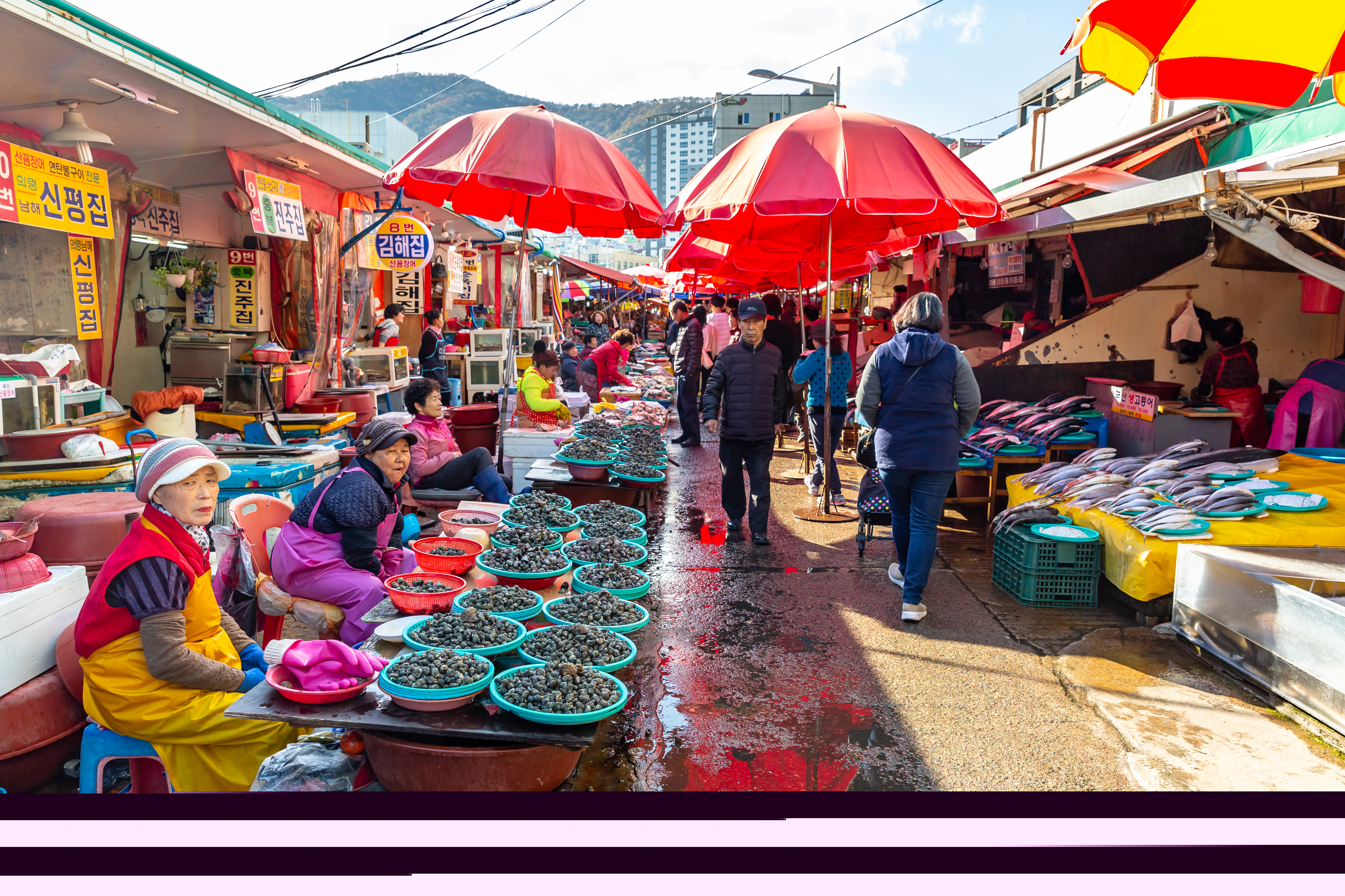 Customers stroll through aisles of stalls as vendors hawk seafood on a sunny day.